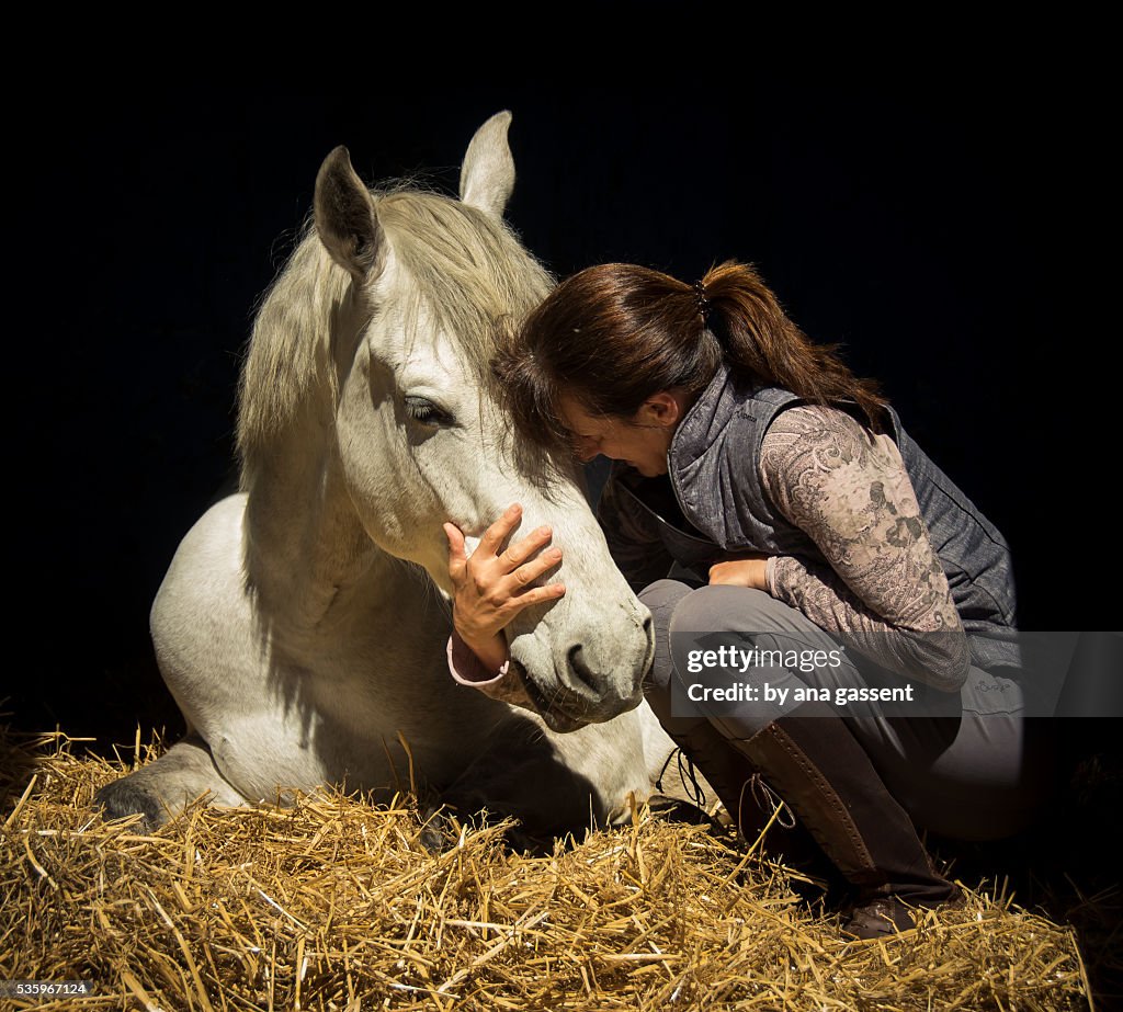 Lady kissing her horse