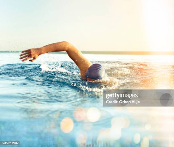 mann schwimmen - kraulschwimmen stock-fotos und bilder