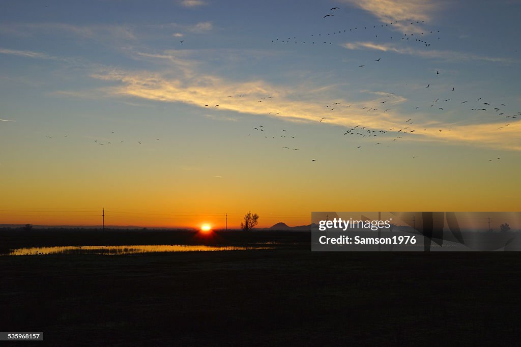 Sacramento NWR Sonnenaufgang