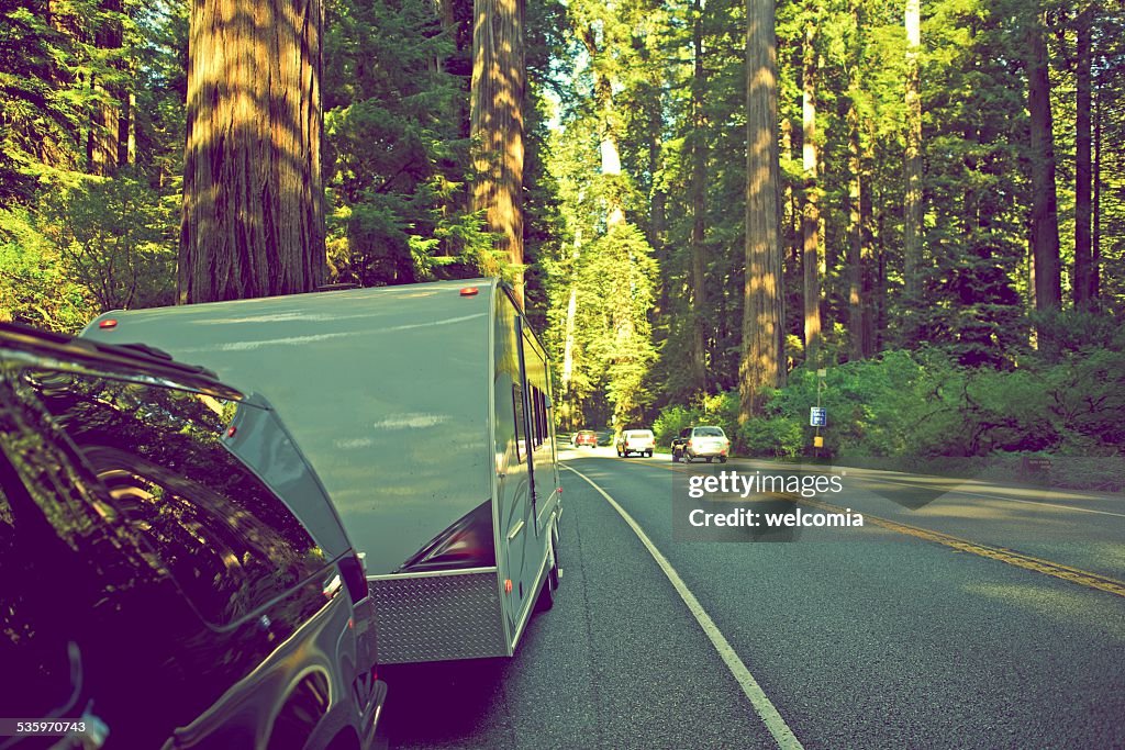 RV in Redwood Forest