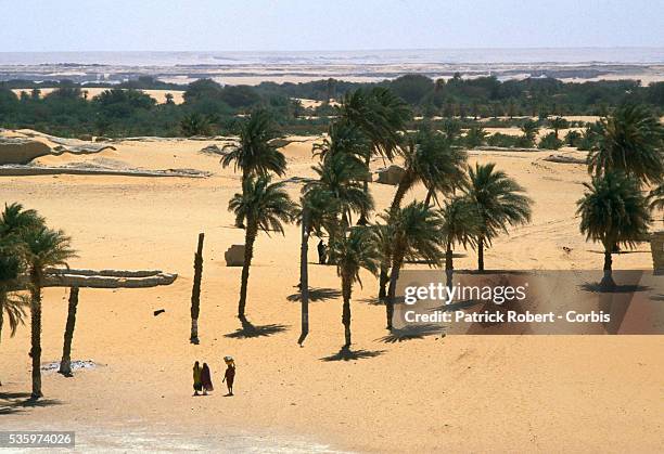 For the first time in four years, Chadian refugees who fled the Libyan invasion return to the country and the oasis at Faya-Largeau. In early 1987,...
