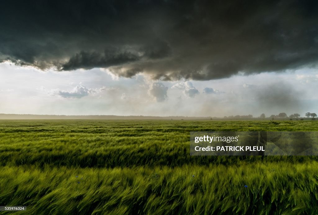 GERMANY-WEATHER-FEATURE