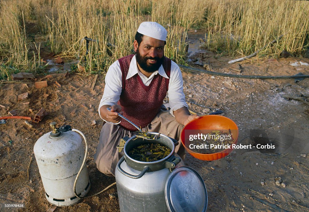 Algerian Man Preparing Salted African Locusts