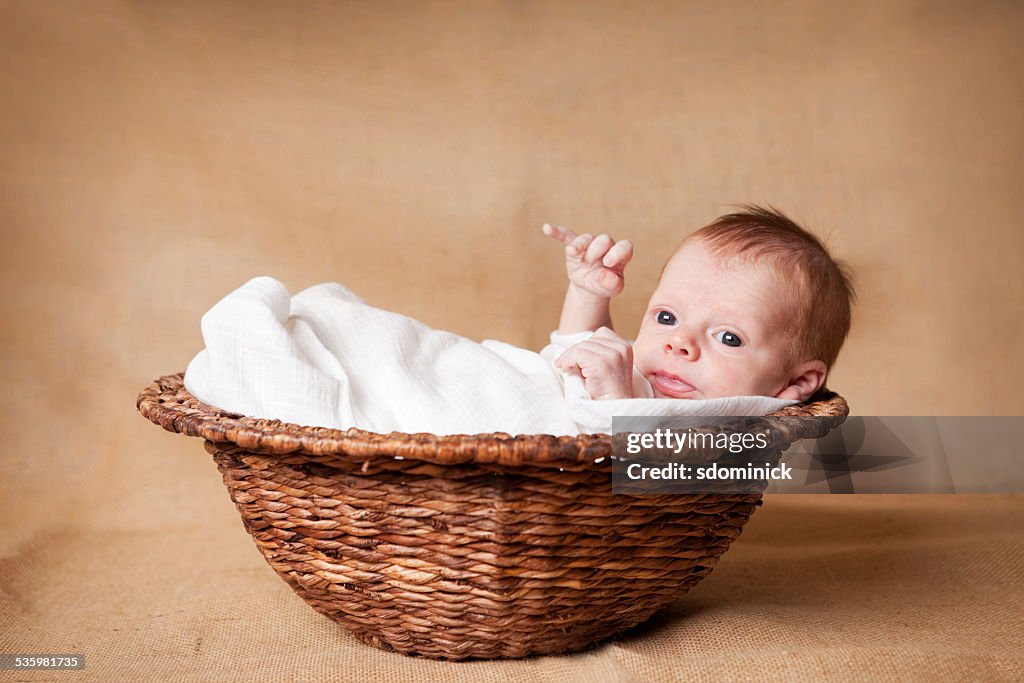 Newborn Baby Boy In A Basket