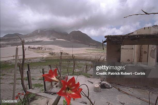 MONTSERRAT, THE SOUFRIERE VOLCANO ERUPTS