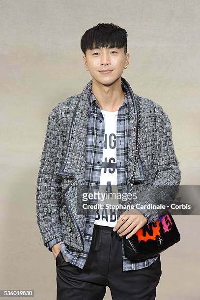 Han Huo Huo attends the Chanel show as part of the Paris Fashion Week Womenswear Spring/Summer 2015 on September 30, 2014 in Paris, France.