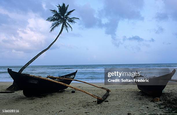 Goa State Fish 1,102 State Of Goa Stock Photos, High-Res Pictures, and Images - Getty ...