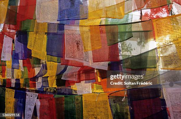 prayer flags in enchey monastery - gangtok ストックフォトと画像