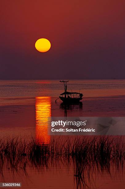 sunset over chilka lake in orissa - bay of bengal 個照片及圖片檔