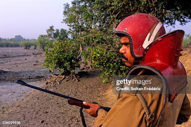 Selta Rangers 63 Delta Ranger Stock Photos, High-Res Pictures, and Images - Getty Images