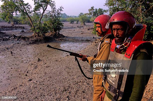 Selta Rangers 63 Delta Ranger Stock Photos, High-Res Pictures, and Images - Getty Images