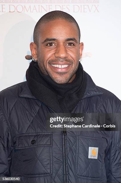 Actor Loup-Denis Elion attends the 'Asterix: Le Domaine des Dieux' Premiere at Le Grand Rex on November 23, 2014 in Paris, France.