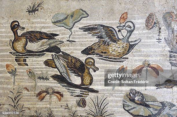 house of the faun in pompeii - pompeii mosaic stock pictures, royalty-free photos & images