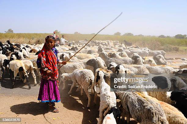 Bisham Rabari 41 Rabari Girl Stock Photos, High-Res Pictures, and Images - Getty Images