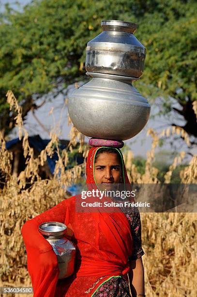 Bisham Rabari 40 Rabari Girl Stock Photos, High-Res Pictures, and Images - Getty Images
