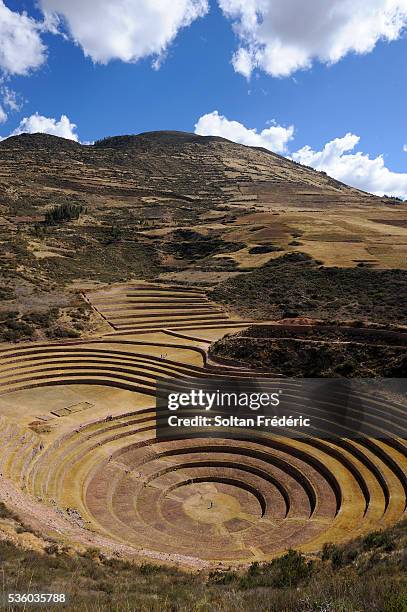 incan terraces of moray - moray inca ruin stock pictures, royalty-free photos & images
