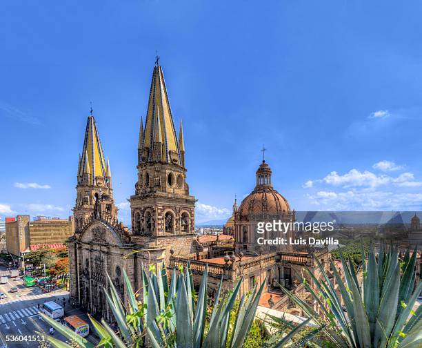 guadalajara cathedral - guadalajara mexiko stock-fotos und bilder
