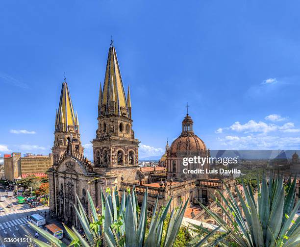 guadalajara cathedral - guadalajara fotografías e imágenes de stock