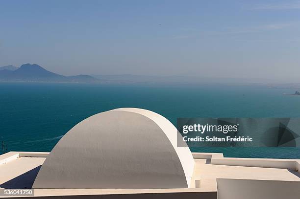 the town of sidi bou said - sidi bou said fotografías e imágenes de stock