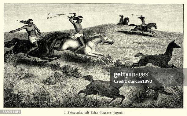 19th century patagoniens hunting guanaco with bolas - guanaco stock illustrations