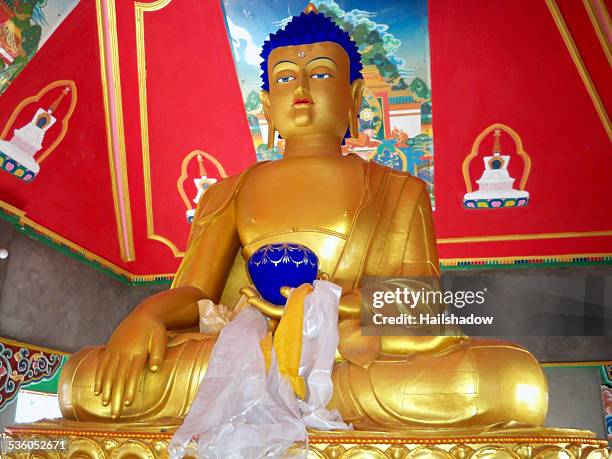 sakyamuni buddha, mcleod ganj, india - dharamsala stock pictures, royalty-free photos & images