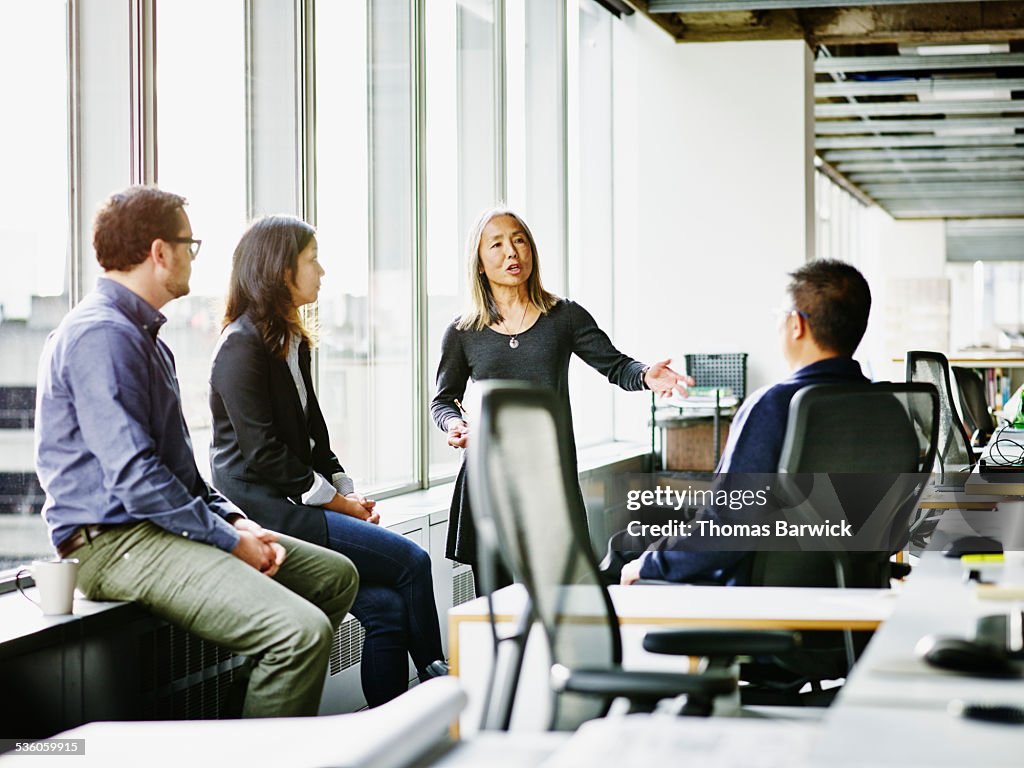 Mature businesswoman leading team meeting
