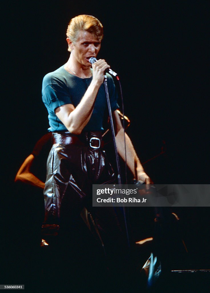 David Bowie in Concert
