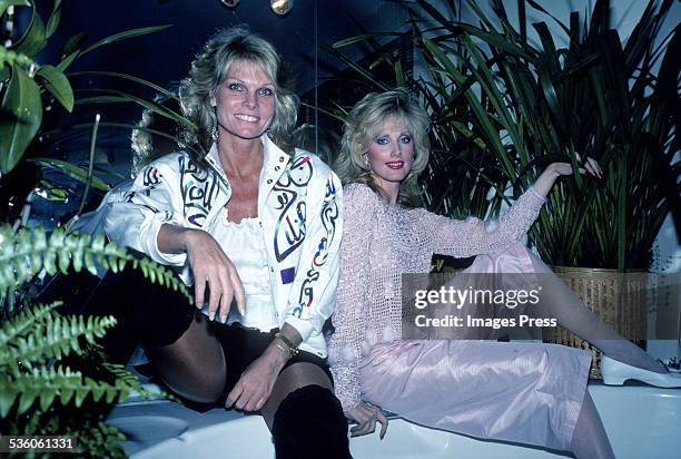 1980s: Cathy Lee Crosby and Morgan Fairchild attends an extravagant party circa 1980s in New York City.