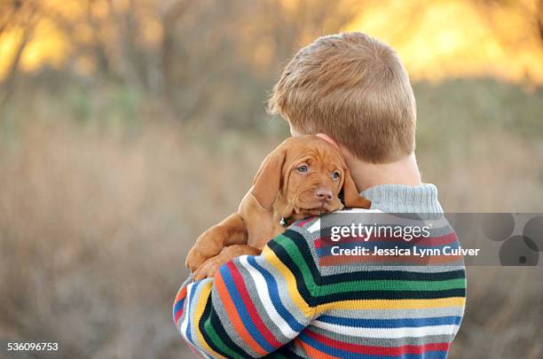 ginger hair boy and his vizsla puppy - ginger lynn - fotografias e filmes do acervo