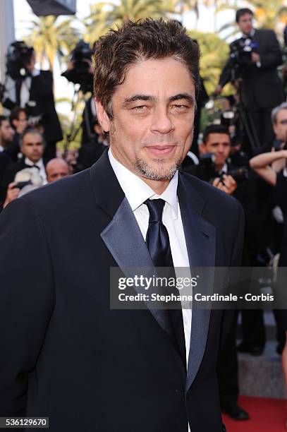 Benicio del Toro attends the premiere of 'The tree' during the 63rd Cannes International Film Festival.