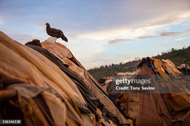Parc Kado 2 Refugee Camp, Anse-a-Pitres, Haiti, 16 October 2015 - Hundreds of refugees living in squaler in refugee camps in the southern border town...