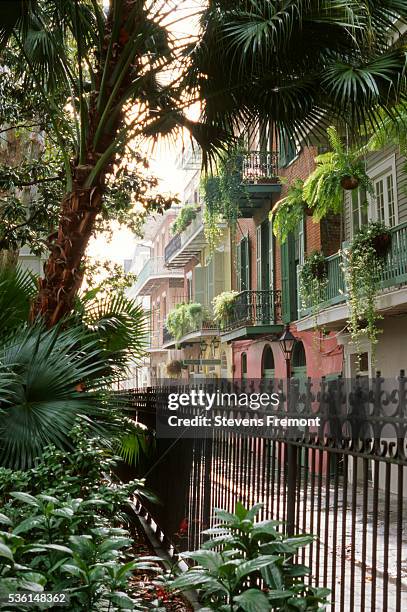 pirate alley in the french quarter, new orleans - french quarter stock-fotos und bilder