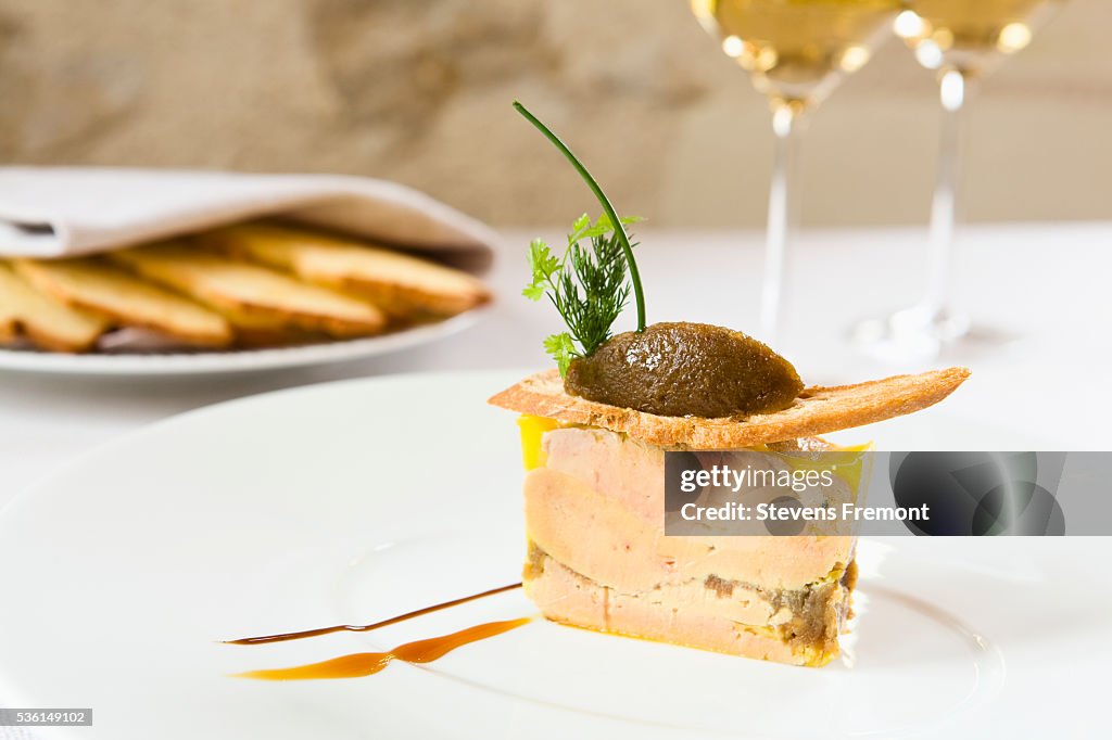 Foie gras with toast and glass of white wine in the La Maison Tourangelle restaurant. Village of Savonnières, Loire Valley, France