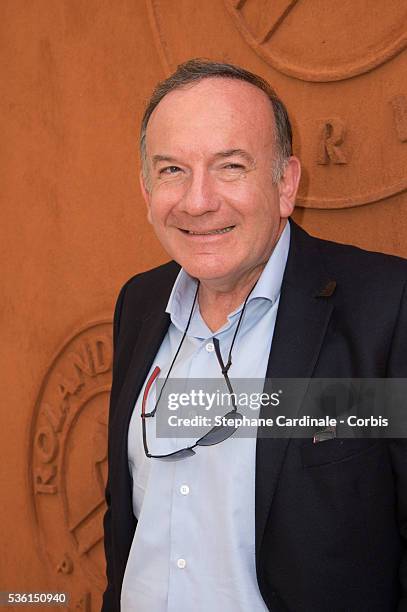 Pierre Gattaz attends the 2015 Roland Garros French Tennis Open - Day Seven, on May 30, 2015 in Paris, France.