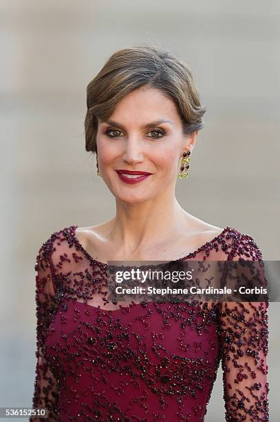 Her Majesty The Queen Letizia of Spain poses before the State Dinner offered by French President François Hollande at the Elysee Palace on June 2,...