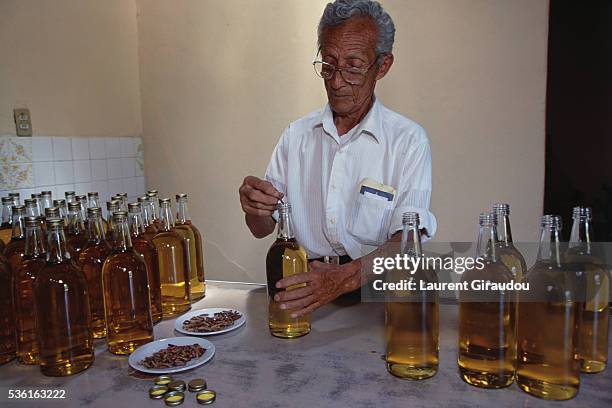 worker putting larva into bottles of mezcal - bottling plant stock pictures, royalty-free photos & images