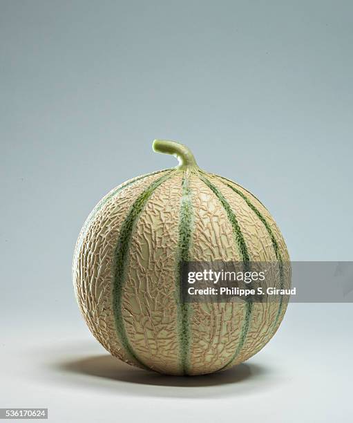 melon charentais cantalope - melão imagens e fotografias de stock