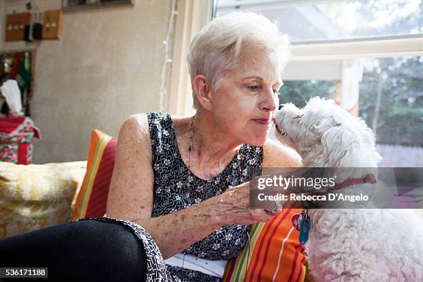 woman kiss dog - old angelo stock pictures, royalty-free photos & images