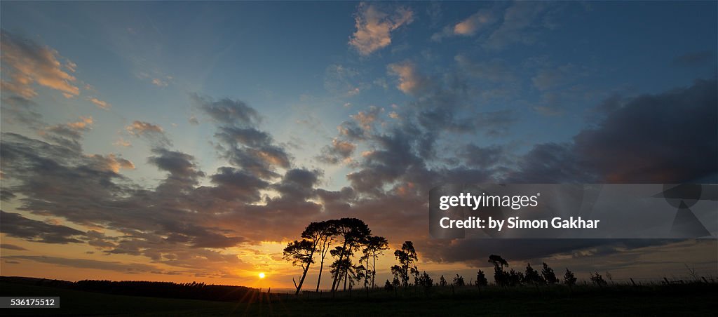 Spectacular Sunset Silhouette