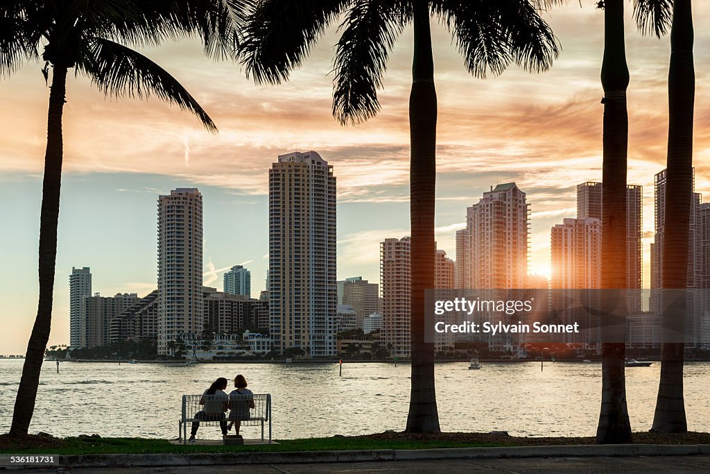 Miami skyline at sunset