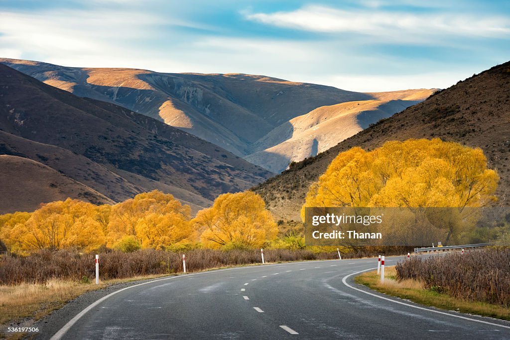 Autumn road