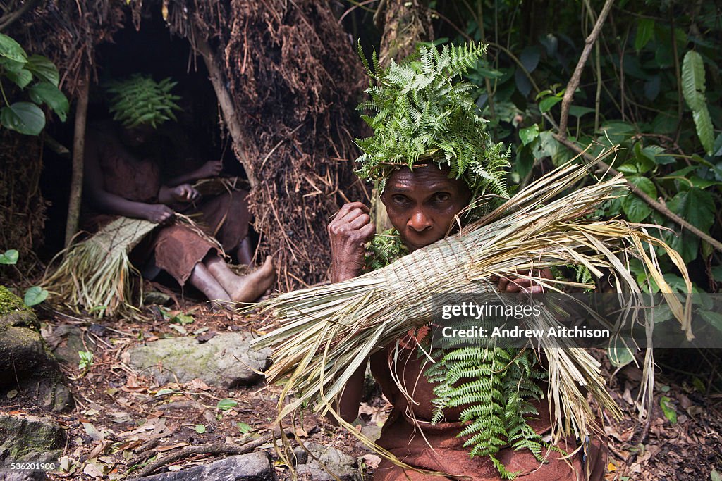 Batwa A Batwa woman in traditional dress uses reeds to make a basket. She ...