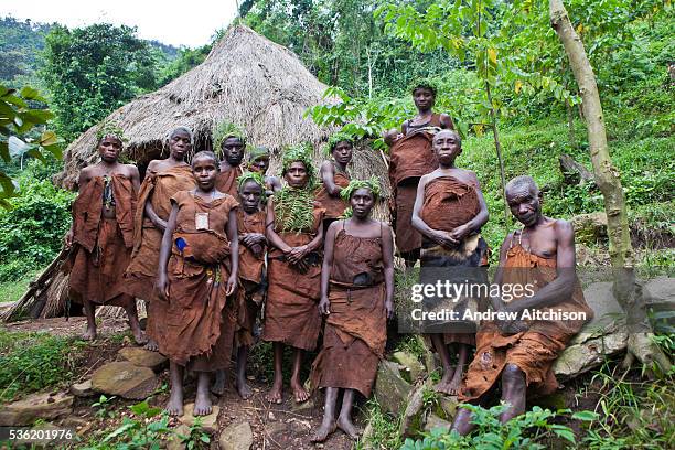 The people of Mukuno village who are traditional Batwa tribes people from the Bwindi Impenetrable Forest in Uganda. They were indigenous forest...