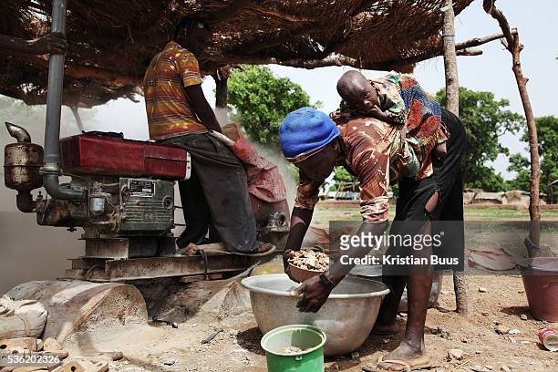 Part of the gold extraction processing is to crush the stones dug out. Here a mother is working with her baby on her back. The mines in the small...