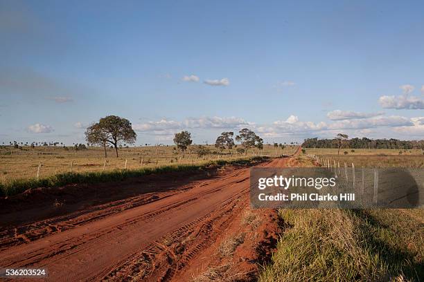 Dirt road of red earth on a large farm. Brazil is the largest producer of Sugar and Beef, then second for Soya and third for Maize. Many of the farms...