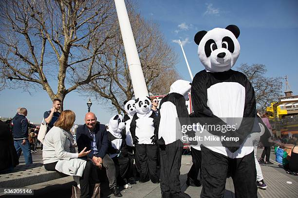 Wwf Pandas Photos And Premium High Res Pictures Getty Images Wwf Pandas Photos And Premium High Res Pictures Getty Images