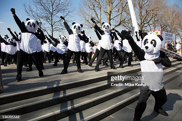Wwf Pandas Photos And Premium High Res Pictures Getty Images Wwf Pandas Photos And Premium High Res Pictures Getty Images