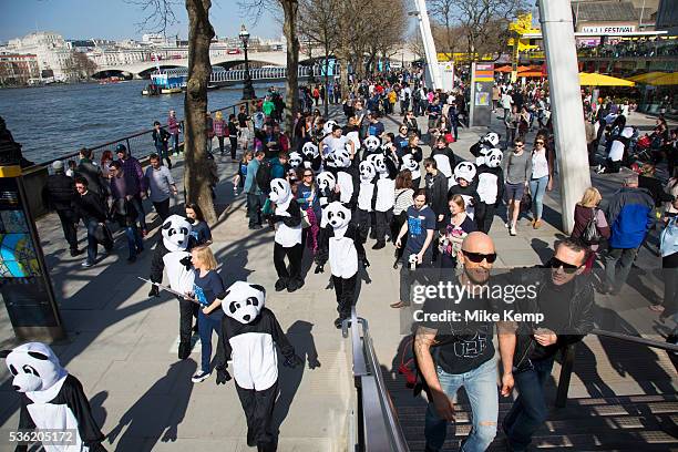 Wwf Pandas Photos And Premium High Res Pictures Getty Images Wwf Pandas Photos And Premium High Res Pictures Getty Images
