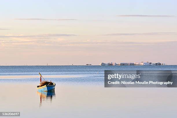 ebro delta - delta do rio ebro imagens e fotografias de stock