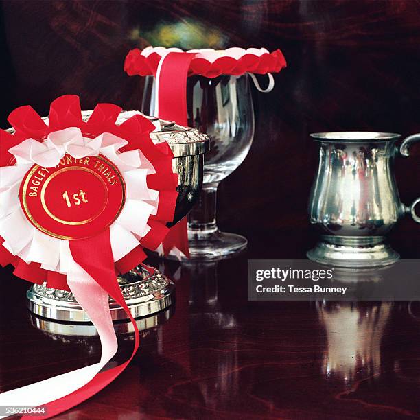 Horse riding trophies and rosettes from Bagley Hunter Trials on display in the dining room of Warren Farm, Simonsbath, Somerset, UK